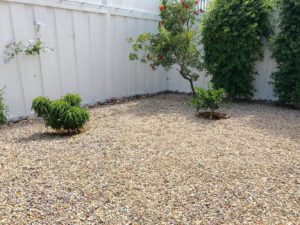 Drought Tolerant Landscaping Ideas In San Diego California