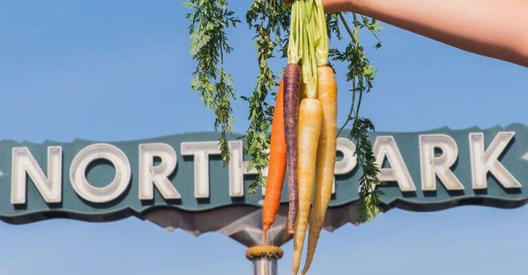 Carrots being held in front of the North Park community sign
