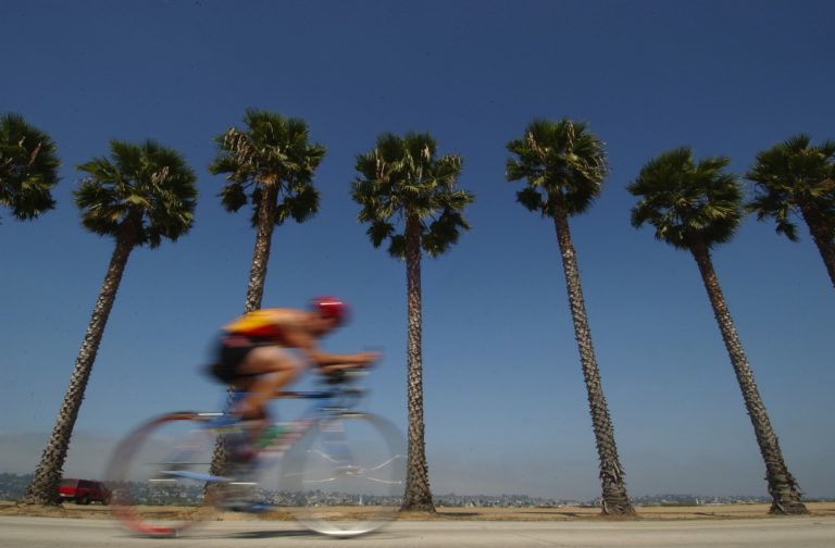 man riding a bike in front of seven palm trees