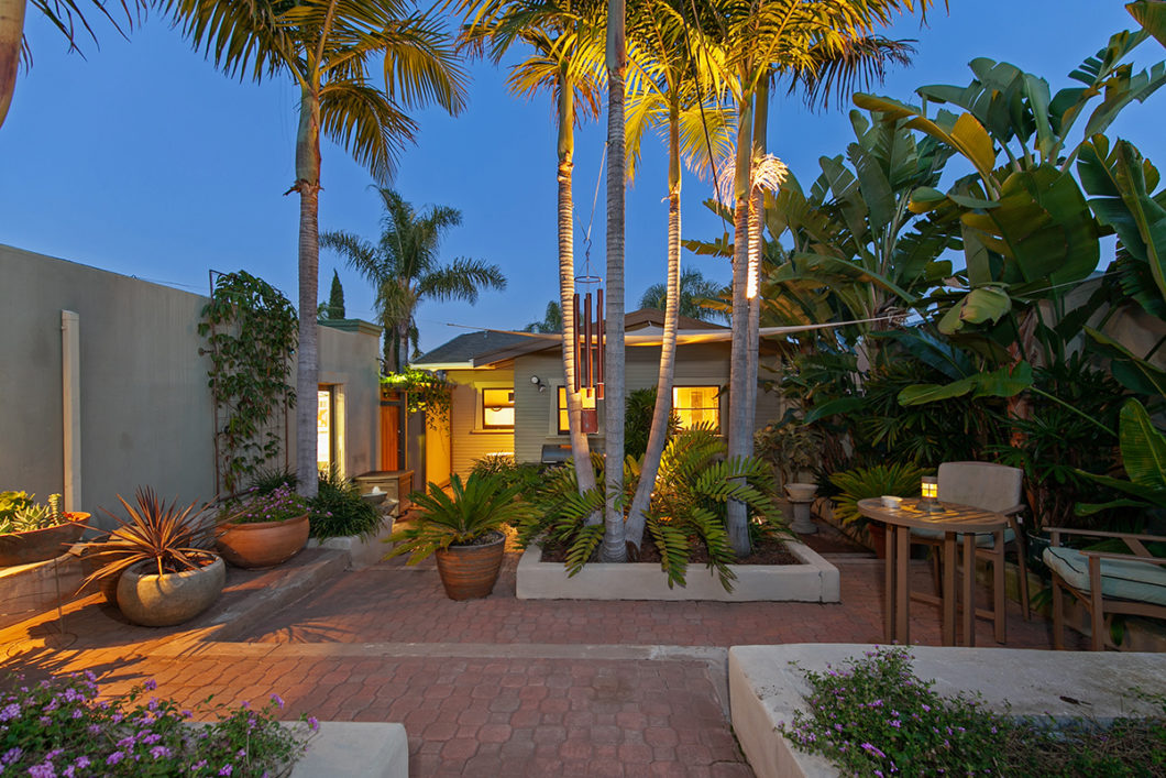 backyard with palm trees and mature landscaping