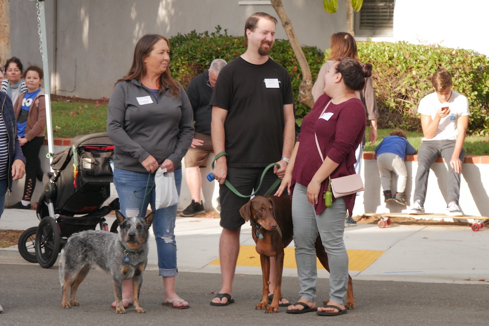 Dogs with owners at Talmadge block party