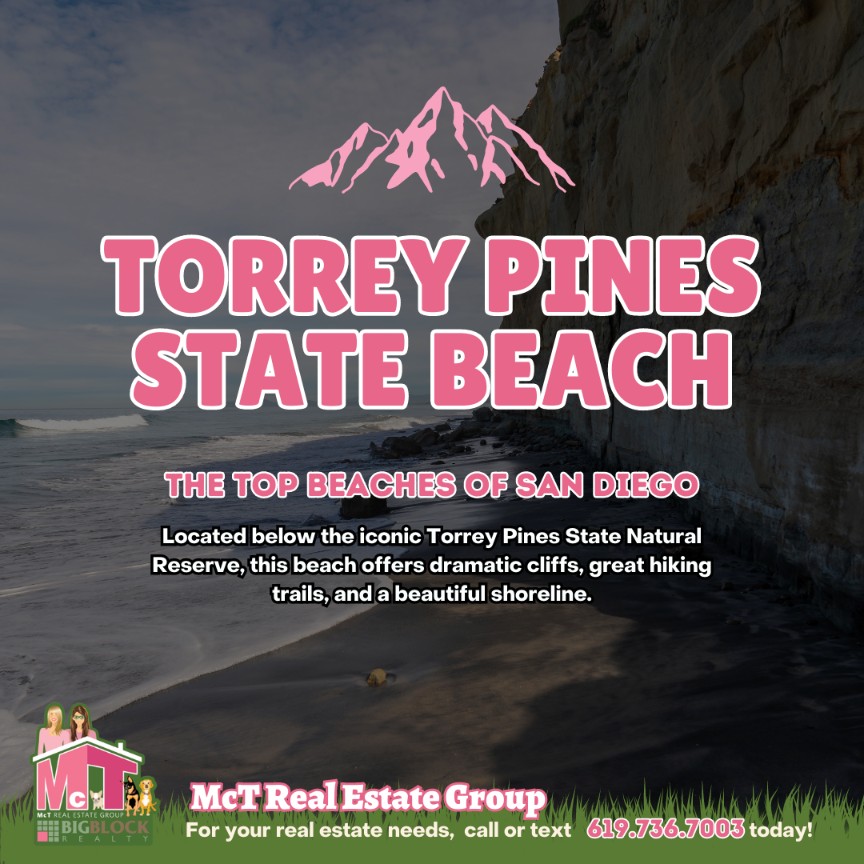 Torrey Pines State Beach - San Diego