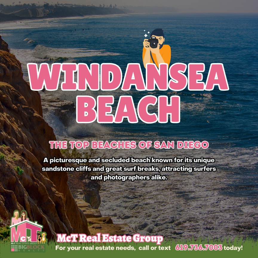 Windansea Beach Image - San Diego