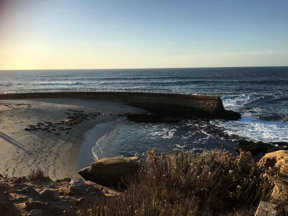 view of la jolla beach 